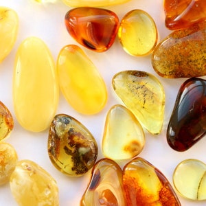 May include: A collection of amber stones in various shades of yellow, orange, and brown. The stones are smooth and polished, with some showing inclusions of insects or plant matter.