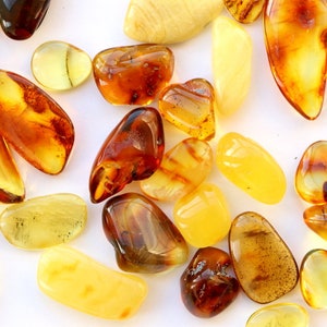 May include: A collection of amber stones in various shades of yellow, orange, and brown. The stones are smooth and polished, with some showing inclusions of insects or plant matter.