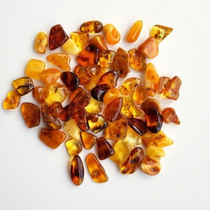 100 g. multi color amber pieces, polished amber pieces, wholesale amber, souvenir amber stones, tumbled amber, free shape amber stones