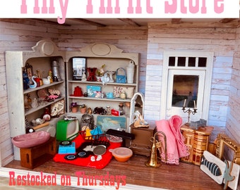 Piccolo negozio dell'usato Mobili e accessori per case delle bambole, miniature vintage
