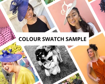 Colour Swatch Sample Modern Hat Fascinator Races Wedding Pink Blue Black White Navy