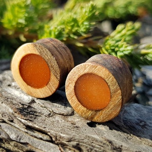 Resin plugs, plugs and tunnels, ear gauges, pair of wood gauges, wooden gauges, wood plugs, plugs gauges, 0g plugs, 00 gauges