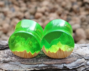 Pair of unique natural plugs, gauges 00, plugs and tunnels, 00 gauges, resin plugs, wood gauges, ear gauges, 00 gauge earrings, custom plugs