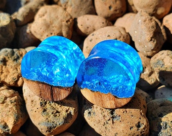 Ein Paar Holz Harz Plugs, Plugs und Tunnel, 00 Plugs, Harz Plugs, Holz Plugs, Plugs, Plugs, Plugs