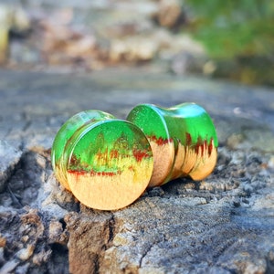 Pair of wood resin plugs, 0g plugs, plugs and tunnels, 00 gauges, resin plugs, wood gauges, ear tunnels, red resin plugs, 00 gauge earrings