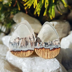Teardrop plugs, wood gauges, wood plugs, plugs and tunnels, 00 gauges, resin plugs, 00 gauge earrings, customplugs, ear plugs, wooden gauges