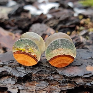 Pair of wood resin plugs,  plugs and tunnels, ear gauges, wood gauges, wooden gauges, resin plugs, 00 gauge earrings, 0g plugs, 00 gauges,