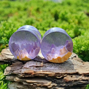 May include: A pair of purple and brown resin ear gauges with a wood inlay. The gauges are round and have a swirling pattern.