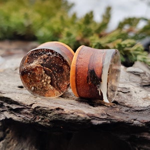 Pair of wood resin plugs,  plugs and tunnels, ear gauges, wood gauges,  wooden gauges, resin plugs, 00 gauge earrings,  0g plugs,  00 gauges