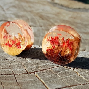 Pair of wood resin plugs, 0g plugs, plugs and tunnels, 00 gauges, resin plugs, wood gauges, ear tunnels, red resin plugs, 00 gauge earrings