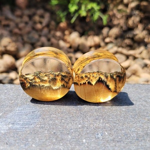 Pair of wood resin plugs, golden color, gauges 00, plugs and tunnels, 00 gauges, wood gauges, ear gauges, 00 gauge earrings, custom plugs