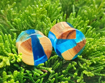 Houten meetinstrumenten, pluggen van harspaar, houten pluggen, oormeters, houten meetinstrumenten, meetoorbellen, meetinstrumenten van 1 inch, meetinstrumenten hars, pluggen en tunnels, paar