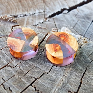 Pair of wood resin plugs,  plugs and tunnels, ear gauges, wood gauges, wooden gauges, resin plugs, 00 gauge earrings, 0g plugs, 00 gauges,