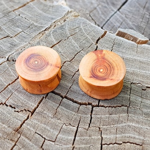 Pair of wood  plugs, 0g plugs, plugs and tunnels, 00 gauges,  wood gauges, ear tunnels, natural plugs, 00 gauge earrings