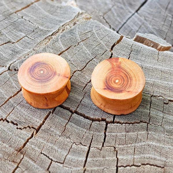 Pair of wood  plugs, 0g plugs, plugs and tunnels, 00 gauges,  wood gauges, ear tunnels, natural plugs, 00 gauge earrings