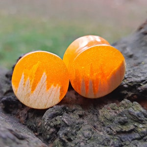 Pair of wood resin plugs, 0g plugs, plugs and tunnels, 00 gauges, resin plugs, wood gauges, ear gauges, 00 gauge earrings, custom plugs