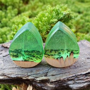 Teardrop plugs, wood gauges, wood plugs, plugs and tunnels, 00 gauges, resin plugs, 00 gauge earrings, customplugs, ear plugs, wooden gauges