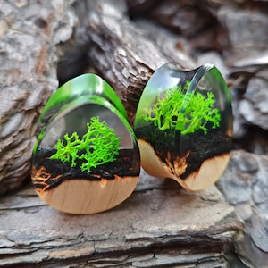 Teardrop plugs, wood gauges, wood plugs, plugs and tunnels, 00 gauges, resin plugs, 00 gauge earrings, custom plugs, ear plugs, teardrop