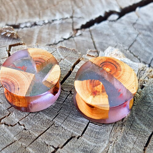 Resin Plugs Plugs and Tunnels Ear Gauges Pair of Wood Etsy