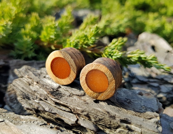 Resin Plugs Plugs and Tunnels Ear Gauges Pair of Wood Gauges