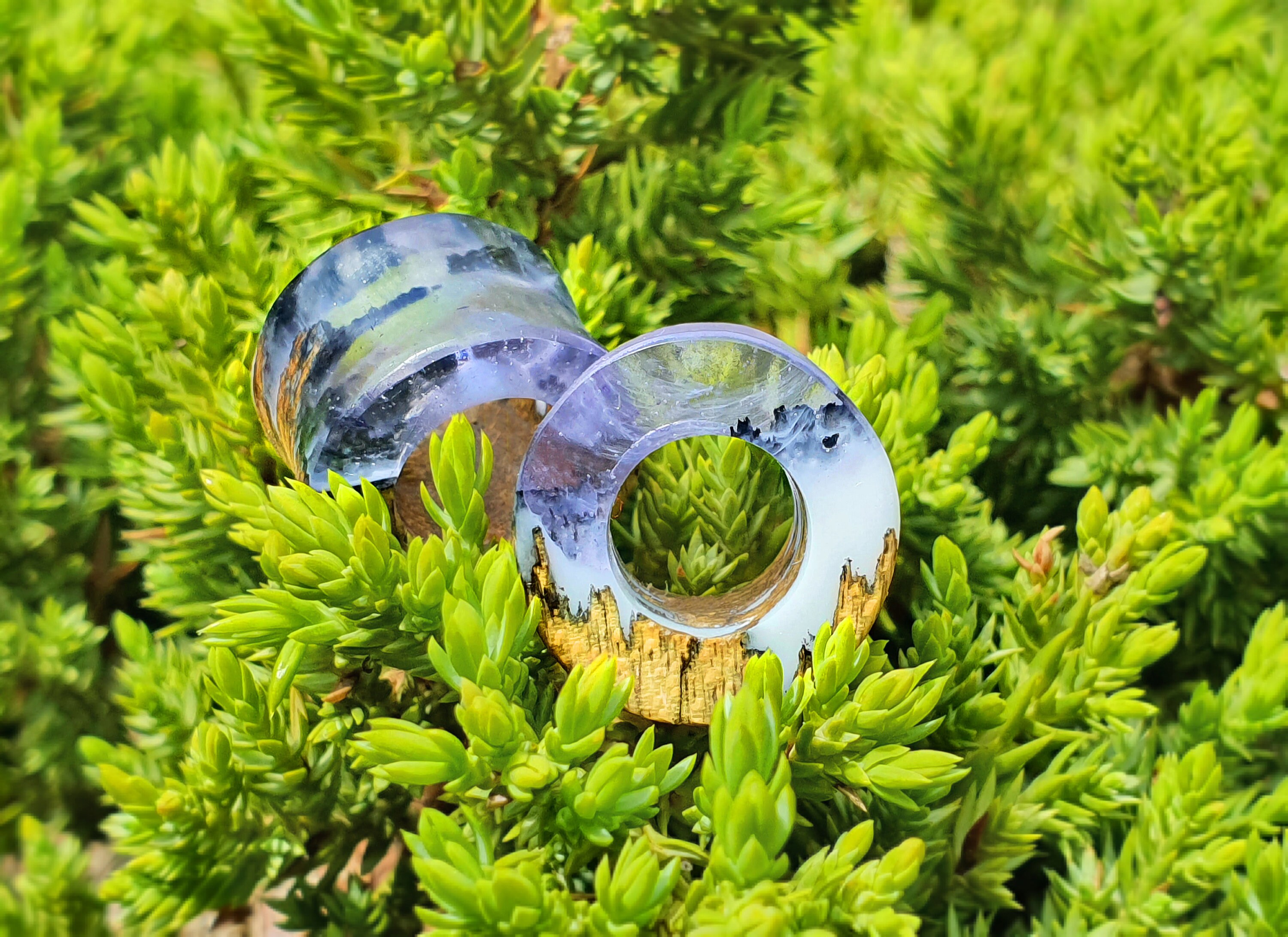 Pair of Tunnels Plugs and Tunnels Gauges Wood Tunnels Etsy