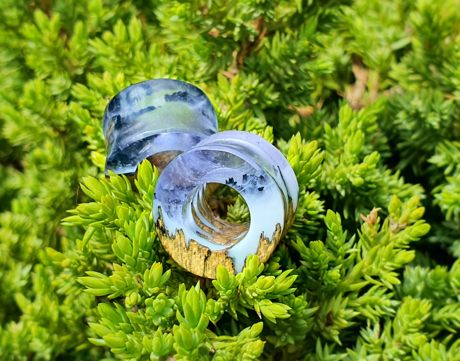 Pair of Tunnels Plugs and Tunnels Gauges Wood Tunnels Etsy