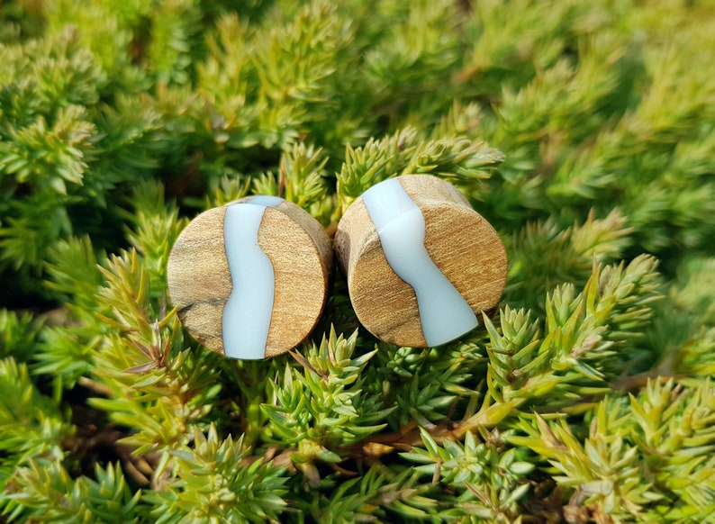 Resin Plugs Plugs and Tunnels Ear Gauges Pair of Wood Etsy