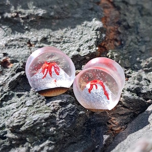 Pair of resin volcano plugs, wood plugs, plugs and tunnels, resin plugs, wood gauges, ear tunnels, red resin plugs, resin earrings