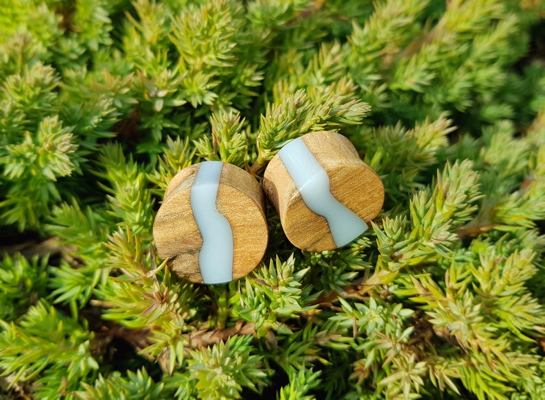 Resin Plugs Plugs and Tunnels Ear Gauges Pair of Wood Etsy