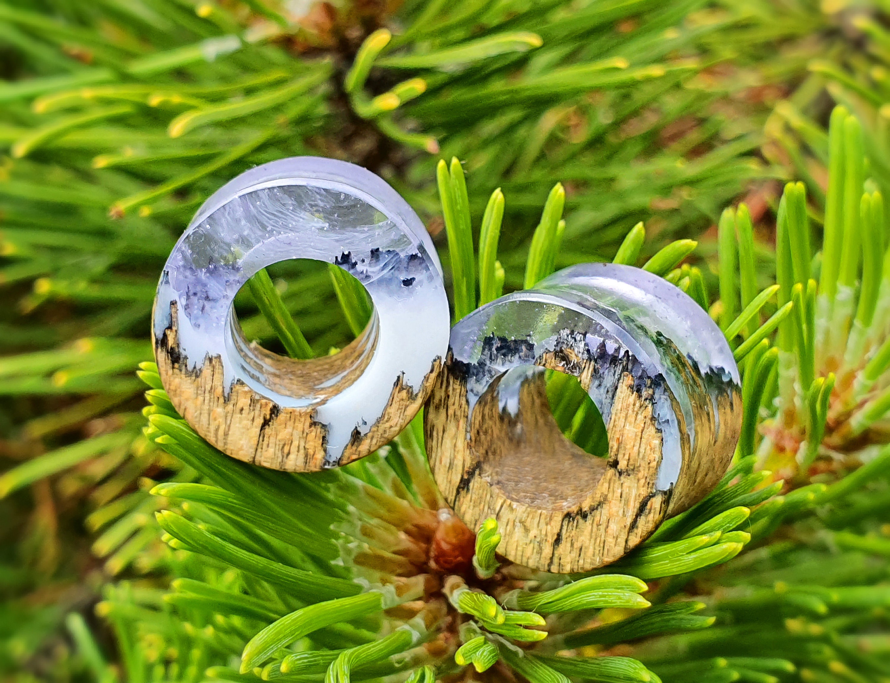 Pair of Tunnels Plugs and Tunnels Gauges Wood Tunnels Etsy Australia
