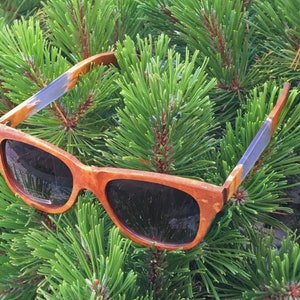 Puede incluir: Un par de gafas de sol de madera marr&oacute;n con lentes oscuros. Las gafas de sol est&aacute;n sobre un lecho de agujas de pino verdes.