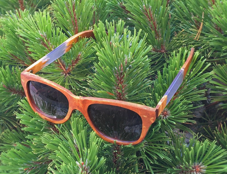 Puede incluir: Un par de gafas de sol de madera marr&oacute;n con lentes oscuros. Las gafas de sol est&aacute;n sobre un lecho de agujas de pino verdes.