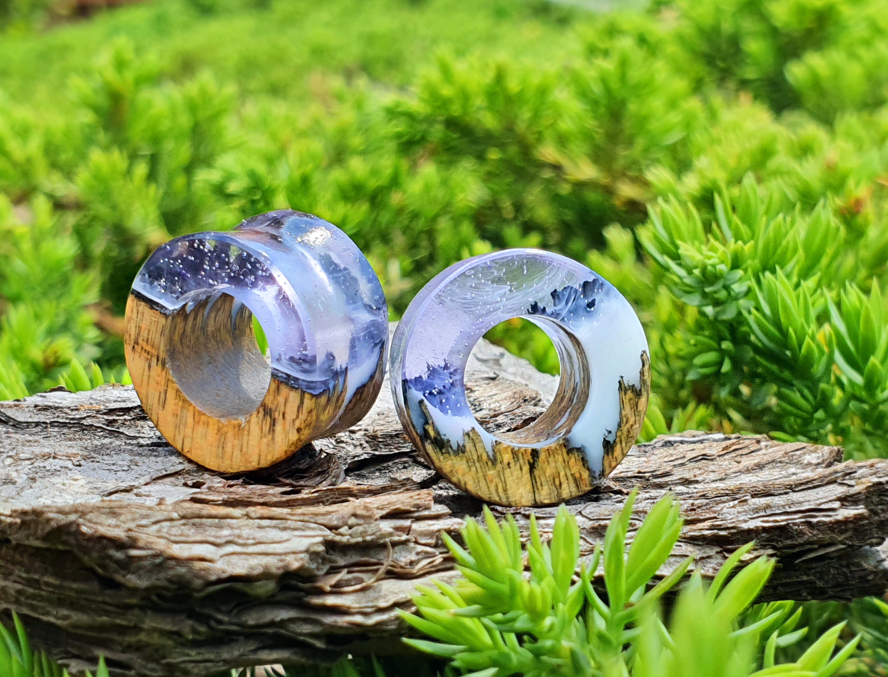 Pair of Tunnels Plugs and Tunnels Gauges Wood Tunnels Etsy Australia