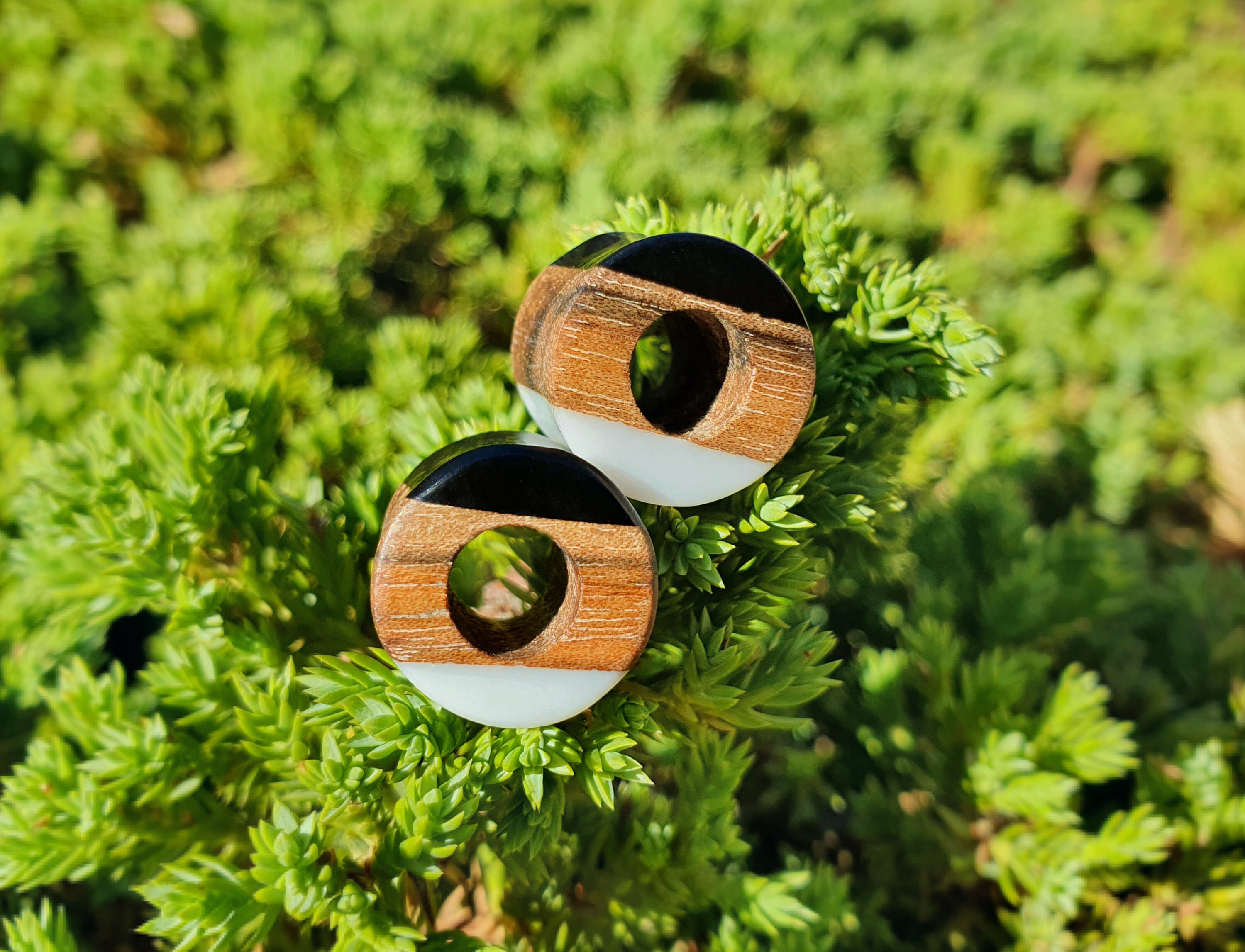 Pair of Tunnels Plugs and Tunnels Gauges Wood Tunnels Etsy UK