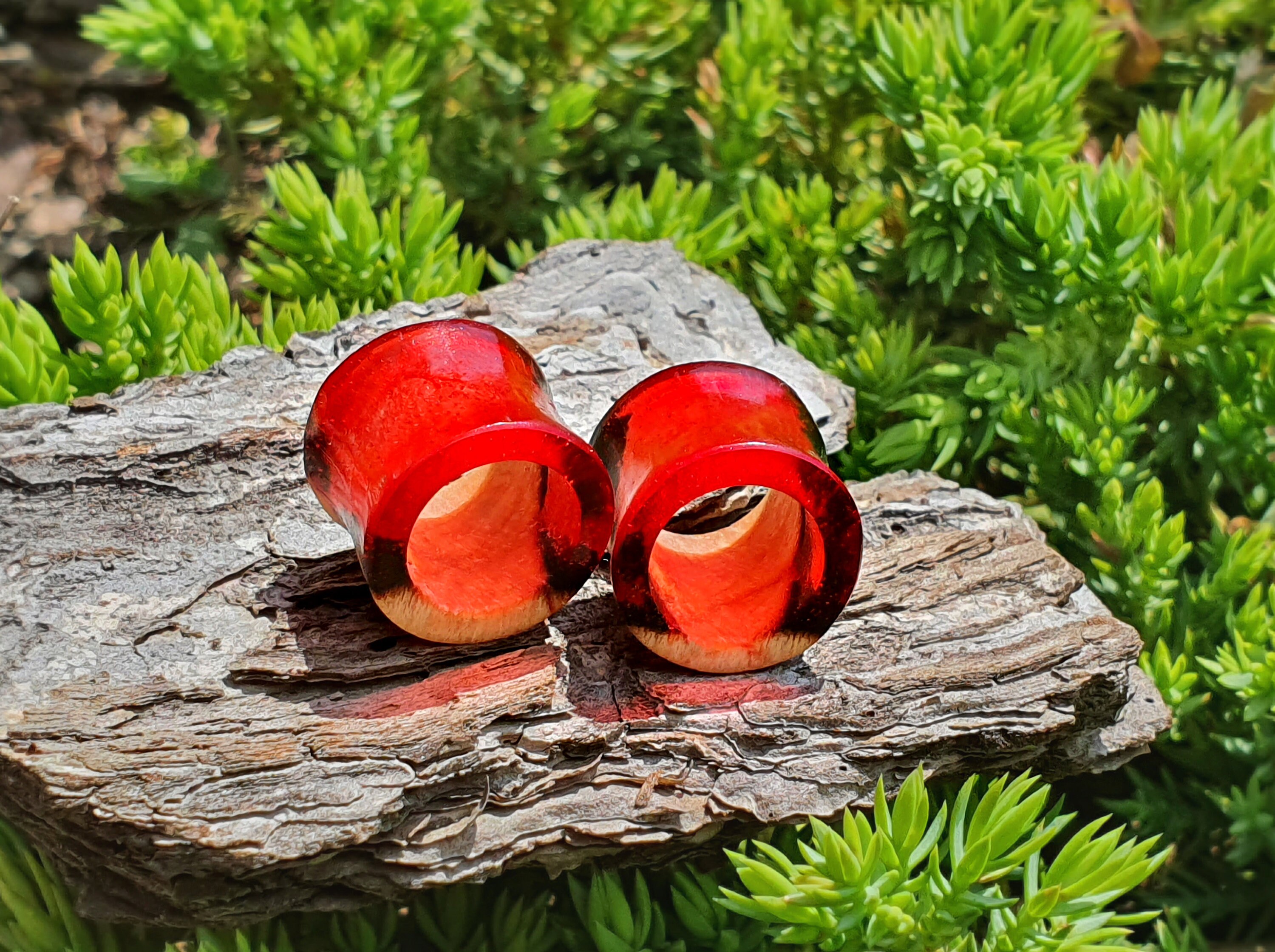 Pair of tunnels plugs and tunnels gauges wood tunnels Etsy
