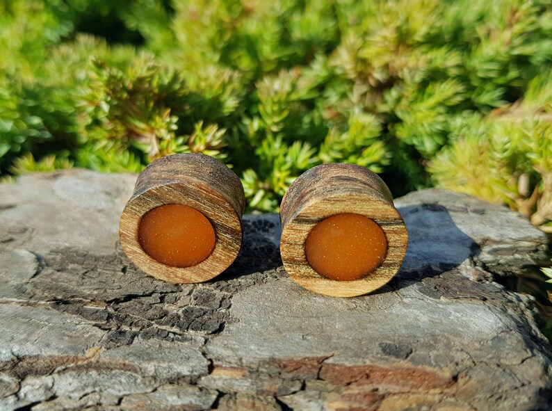 Resin Plugs Plugs and Tunnels Ear Gauges Pair of Wood Etsy
