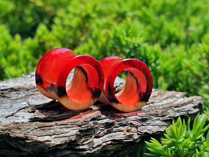 Pair of Tunnels Plugs and Tunnels Gauges Wood Tunnels Etsy
