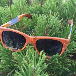 Puede incluir: Gafas de sol de madera marr&oacute;n con lentes oscuros, descansando sobre un lecho de agujas de pino verdes.