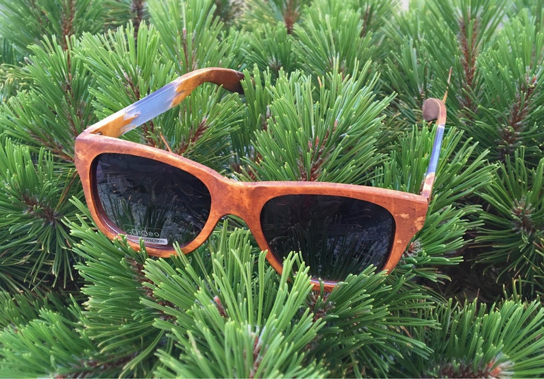 Puede incluir: Gafas de sol de madera marr&oacute;n con lentes oscuros, descansando sobre un lecho de agujas de pino verdes.