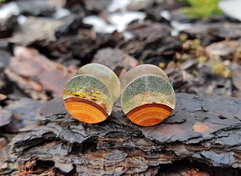 Pair of Wood Resin Plugs Plugs and Tunnels Ear Gauges Wood Etsy