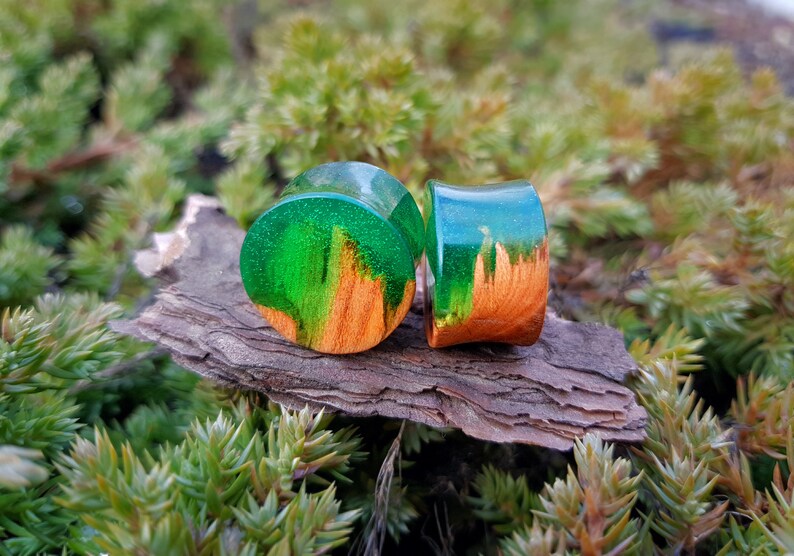 Pair of Wood Resin Plugs Plugs and Tunnels 00 Gauge Etsy