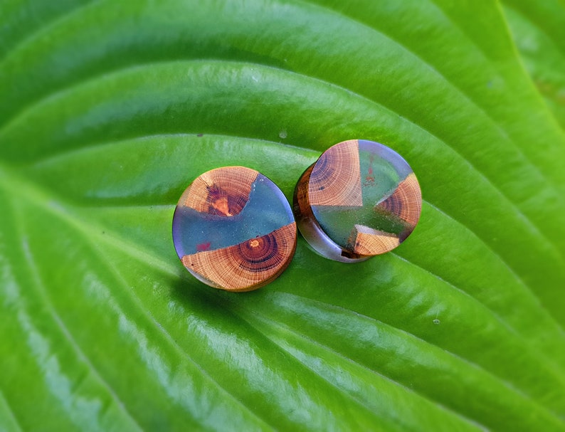 Pair of Wood Resin Plugs Plugs and Tunnels Ear Gauges Wood Etsy