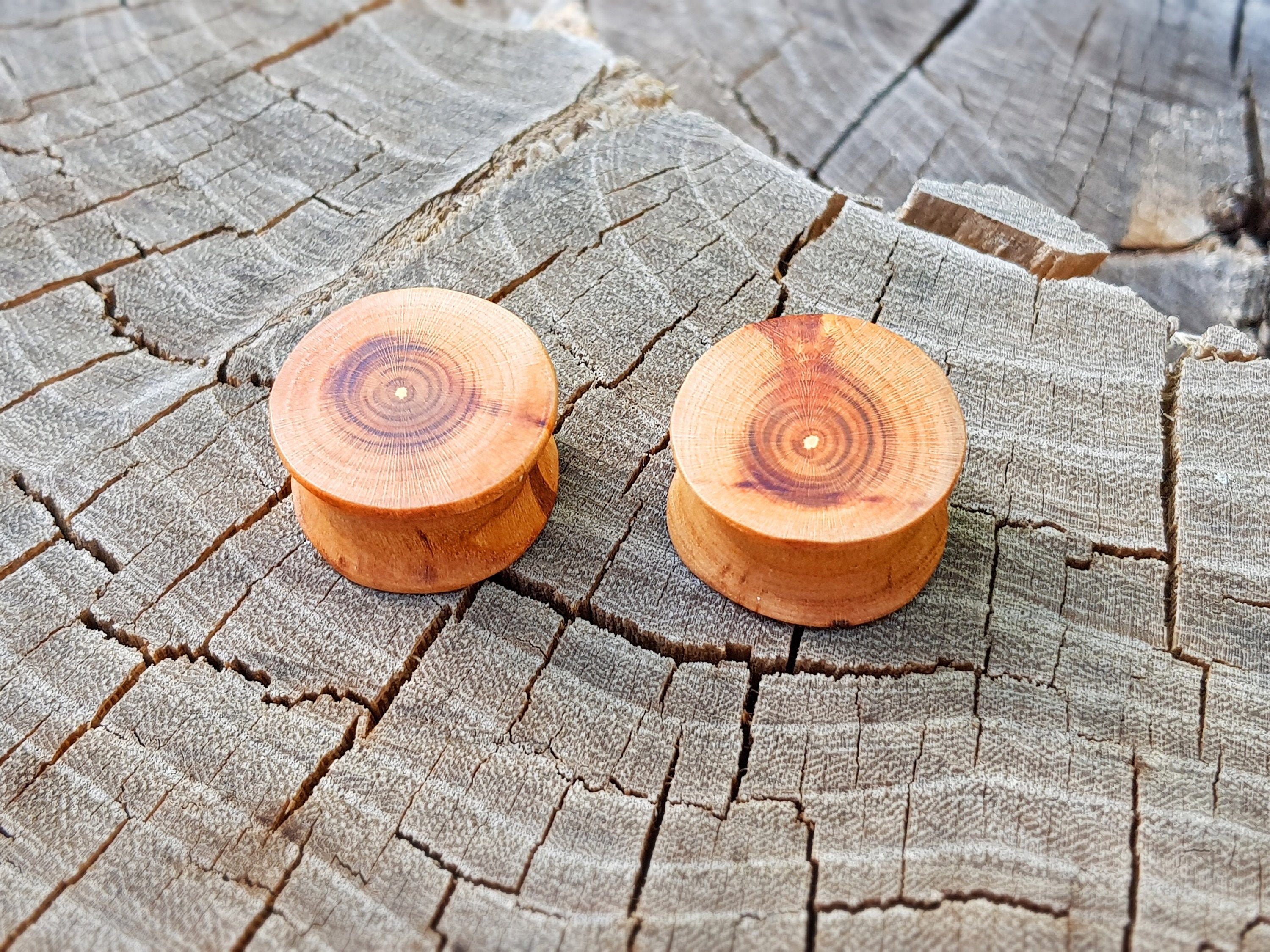 Pair of wood plugs 0g plugs plugs and tunnels 00 gauges Etsy