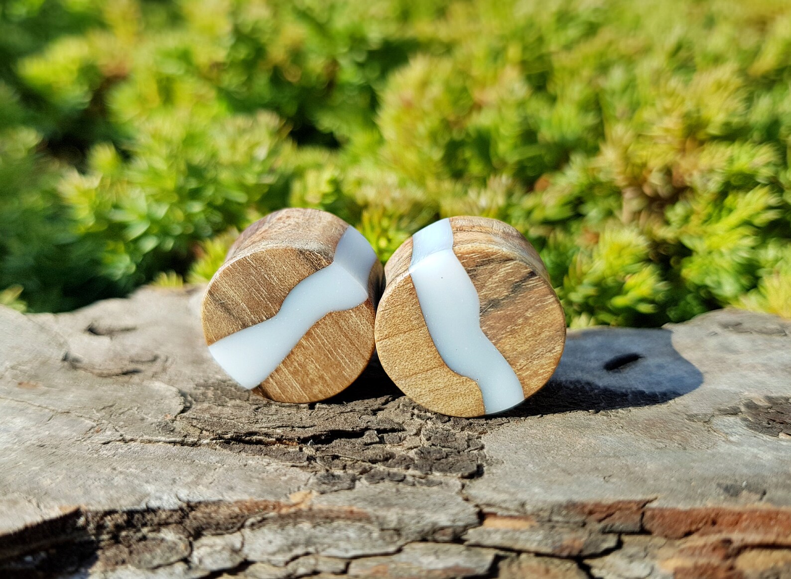 Resin Plugs Plugs and Tunnels Ear Gauges Pair of Wood Etsy
