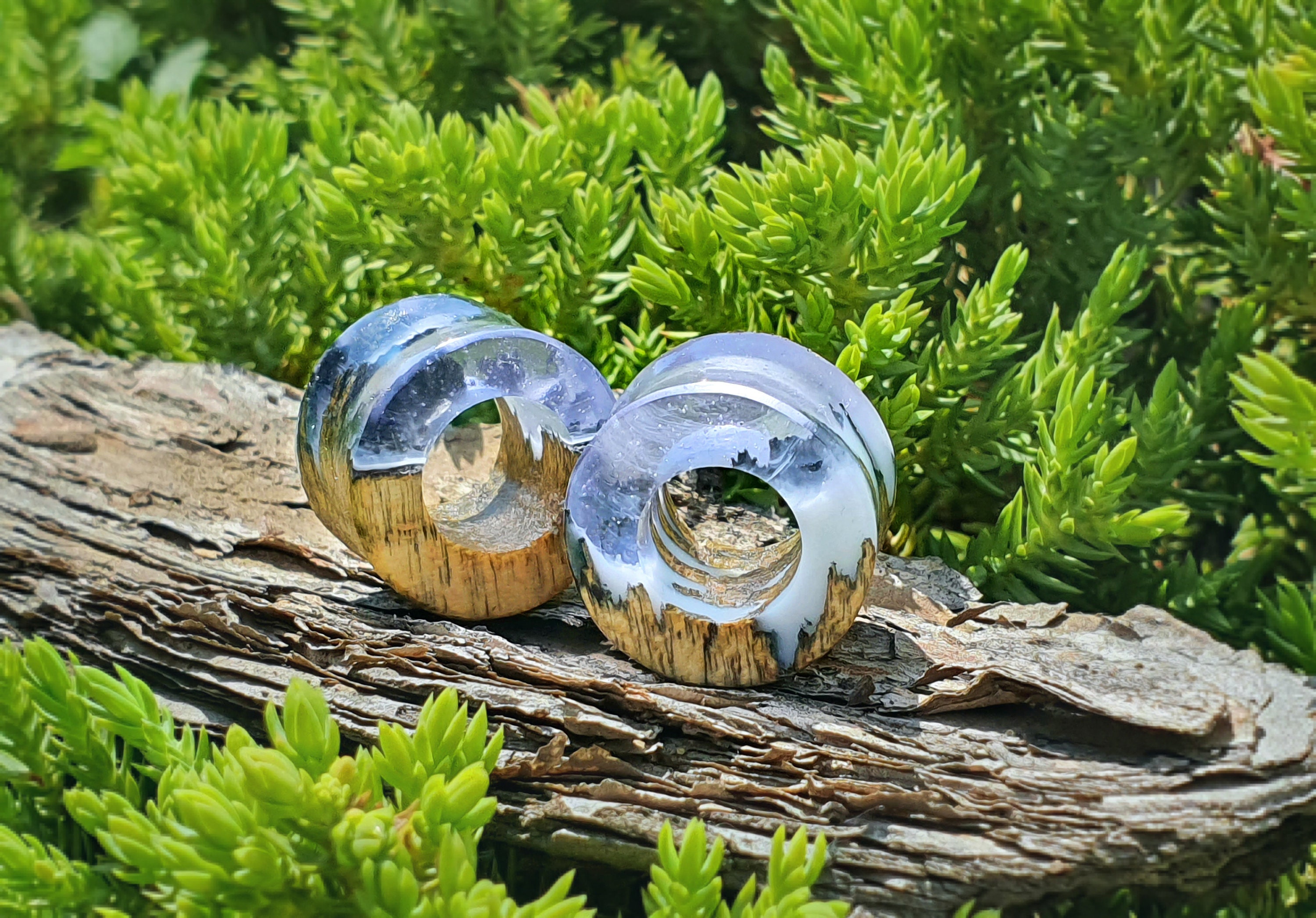 Pair of Tunnels Plugs and Tunnels Gauges Wood Tunnels Etsy