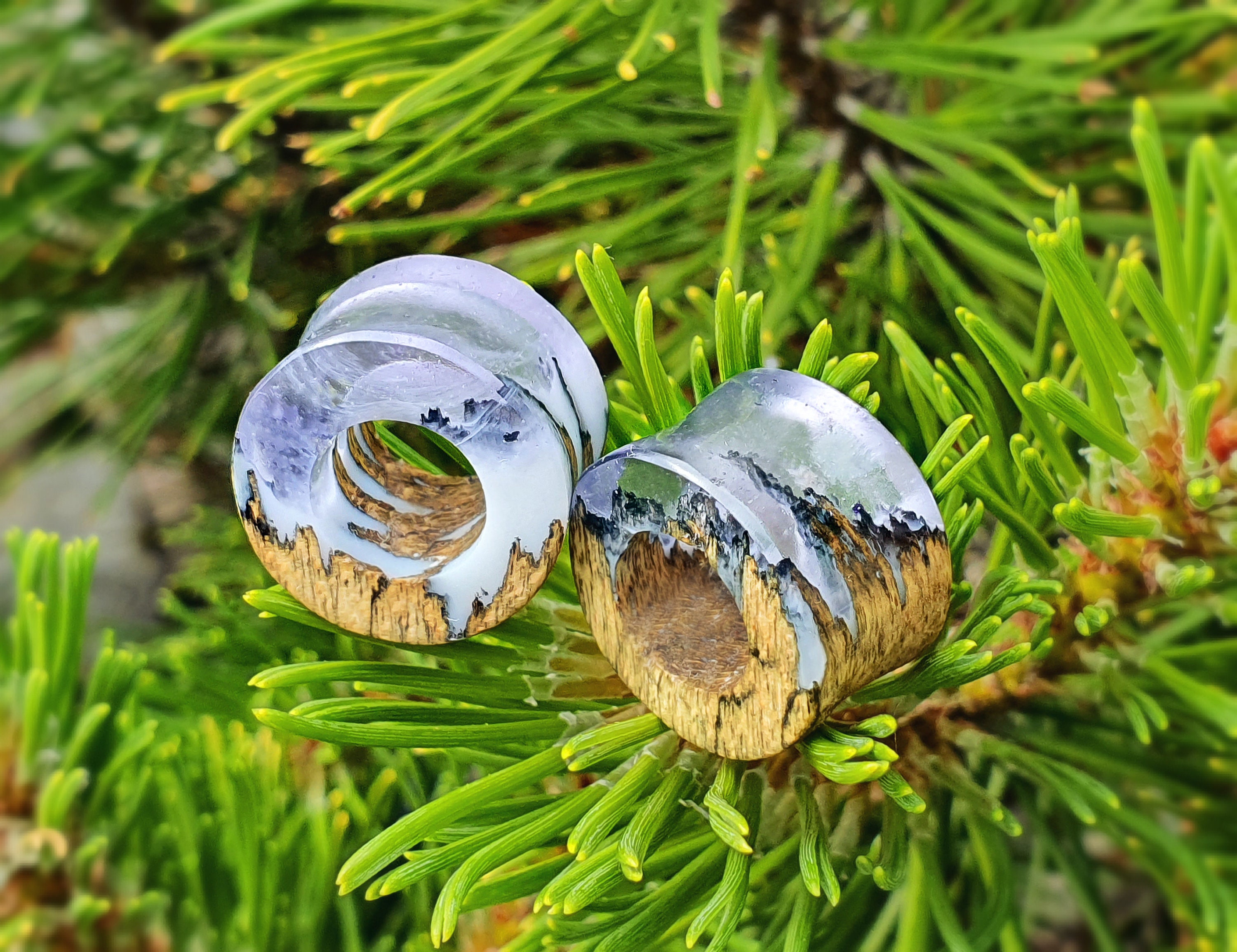 Pair of Tunnels Plugs and Tunnels Gauges Wood Tunnels Etsy