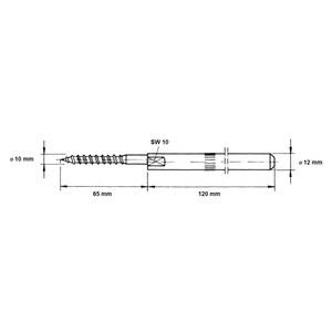 May include: A black and white line drawing of a screw with a diameter of 10 mm and 12 mm. The screw is 65 mm long and has a 120 mm long shaft. The screw has a square head with the text 'SW 10' printed on it.