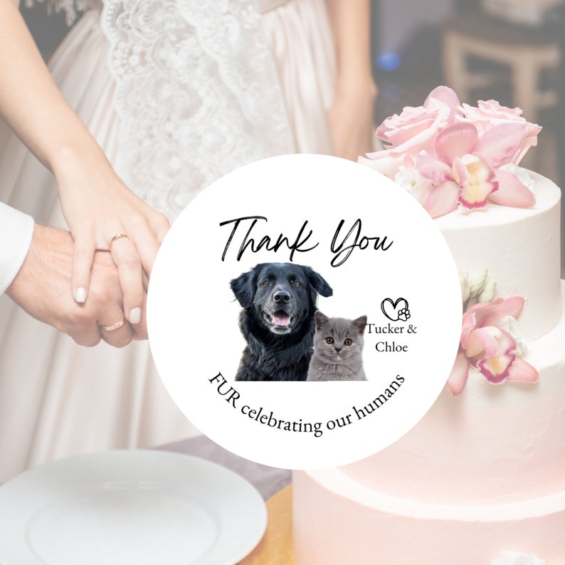 Wedding Stickers, Dog Wedding, Pet Photo Gift, Thank You Sticker, Custom Wedding Favor Label, Dog Treat Bag, Personalized Gift For Dog Owner