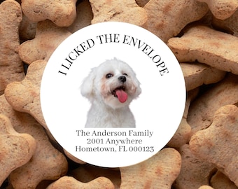 Christmas Address Labels, Custom Pet Photo Funny Envelope Seal for Dog Lover Invite Save the Date Party Personalized Portrait Favor