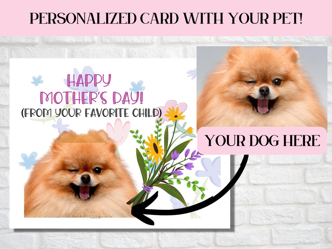 Mothers Day Card From the Dog, Dog Lover Gift, Photo Card, Best Dog Mom ...